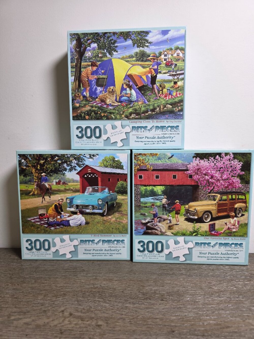 Set of Three (3) 300 Large Piece Jigsaw Puzzles by Bits and Pieces